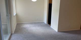 Northgate Gallery 31