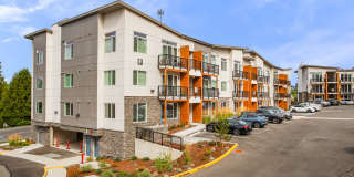 Allegro Lynwood Gallery 26