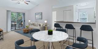 Sabal Palm at Lake Buena Vista Gallery 3