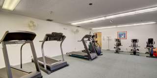 8697 Sunbird Place Gallery 42