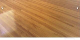 1195 Santa Ana St Gallery 3