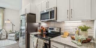 The Leo - 55+ Active Adult Apartment Homes Gallery 2