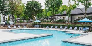 Alister Lake Lynn Gallery 16