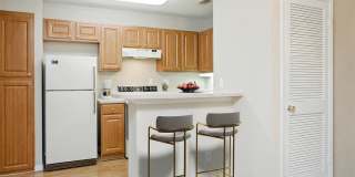 The Arbors of Wells Branch Apartments The Arbors of Wells Branch Apartments Gallery 16