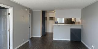 Villa Del Sol Gallery 43