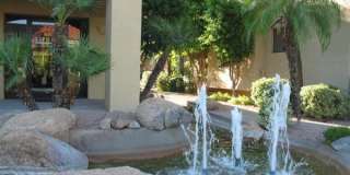 Biltmore / Arcadia Lite - 32nd St & Camelback Gallery 14