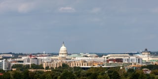 Concord Crystal City Gallery 50