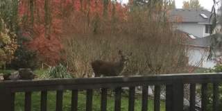 6904 54th Pl Ne Gallery 22