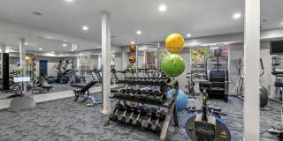 Avant at the Arboretum Gallery 16