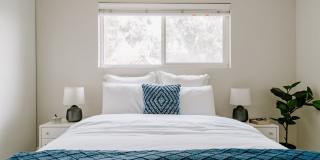 SH - Park Place Gallery 3