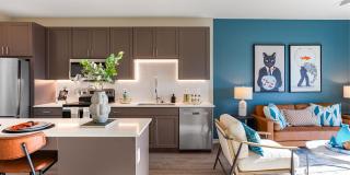 Alta Avondale Gallery 1