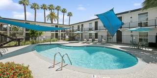 ReNew Biltmore Gallery 34