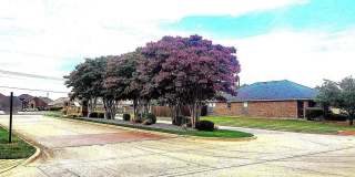 621 Chestnut Court Gallery 33