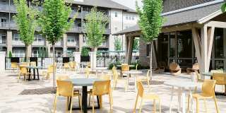 Livano at Town Madison Gallery 28