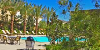 1341 Bittersweet Dr #F Beaumont Gallery 4