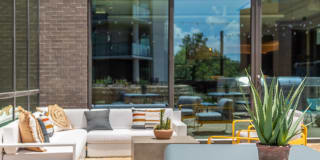 The Village Drey Gallery 56