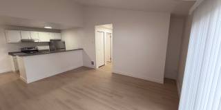 Wellington Place Apartments Gallery 42