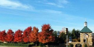 24656 KINGS CANYON Square Gallery 49