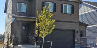 Beautiful Single Family Home in S/E Fort Collins Gallery 1