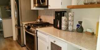 12 Surf Avenue Gallery 12