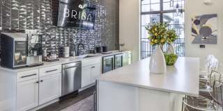 Brisa at St Augustine Gallery 21