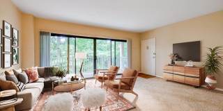 Rollingwood Gallery 4