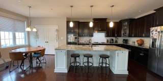 4209 LARIAT Drive Gallery 3