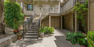 Larkspur Courts Gallery 20