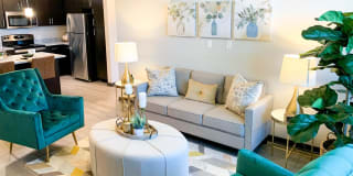 Springs at the Reserve Gallery 18