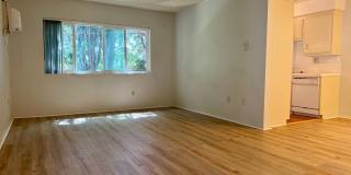 ESPERANZA Gallery 1