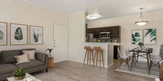 1900 Aquarena Springs Dr, #610 1900 Aquarena Springs Dr, #610 Gallery 4