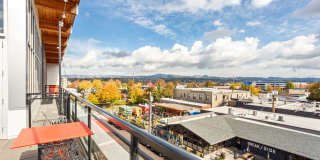 Westline Gallery 27