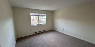 Elmwood Park Gallery 20