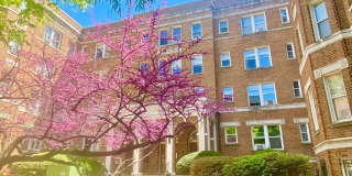 1820 CLYDESDALE Place NW Gallery 15