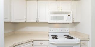 22 Veronese Ct Gallery 22