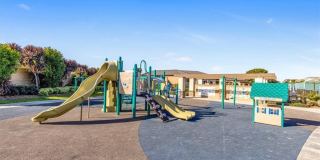 33885 Manta Court Gallery 24