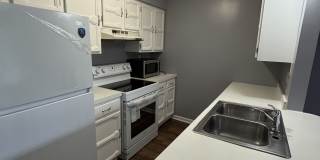 2941 Winter Garden - 4 Gallery 8