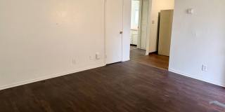 489 S Backer Gallery 1