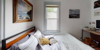 7 Dexter Street Gallery 4