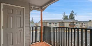 #148 WALNUT SPRINGS Gallery 28