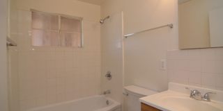 Charming 3 Bedroom 2 Bath House! Close to the UofA and Downtown! Gallery 13
