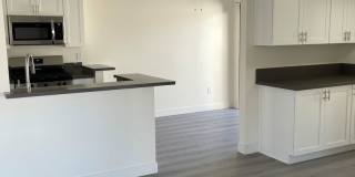 Pinery Gallery 10