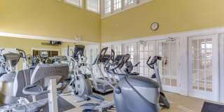 1625 INTERNATIONAL DR #321 Gallery 32