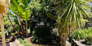 1816 Paseo Del Lago Drive Gallery 35