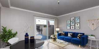 257 Vernon Apartments Gallery 1