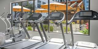 5 Points Northshore Gallery 26