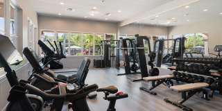 Cortland Harbour Cove Gallery 26