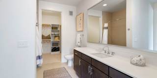 Cortland M-Line Gallery 9