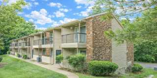 Allegro on Bell Gallery 1