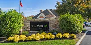 The Woods East Windsor Gallery 1